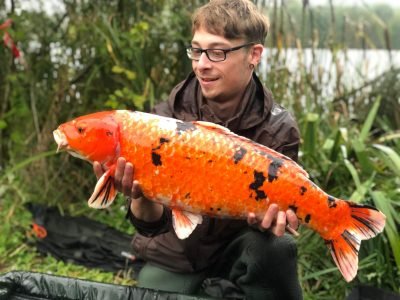 03eb17eb-4a8c-475a-8922-495c99df6306